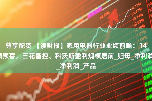尊享配资 【读财报】家用电器行业业绩前瞻：14家业绩预喜，三花智控、科沃斯盈利规模居前_归母_净利润_产品