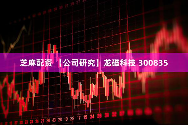 芝麻配资 【公司研究】龙磁科技 300835